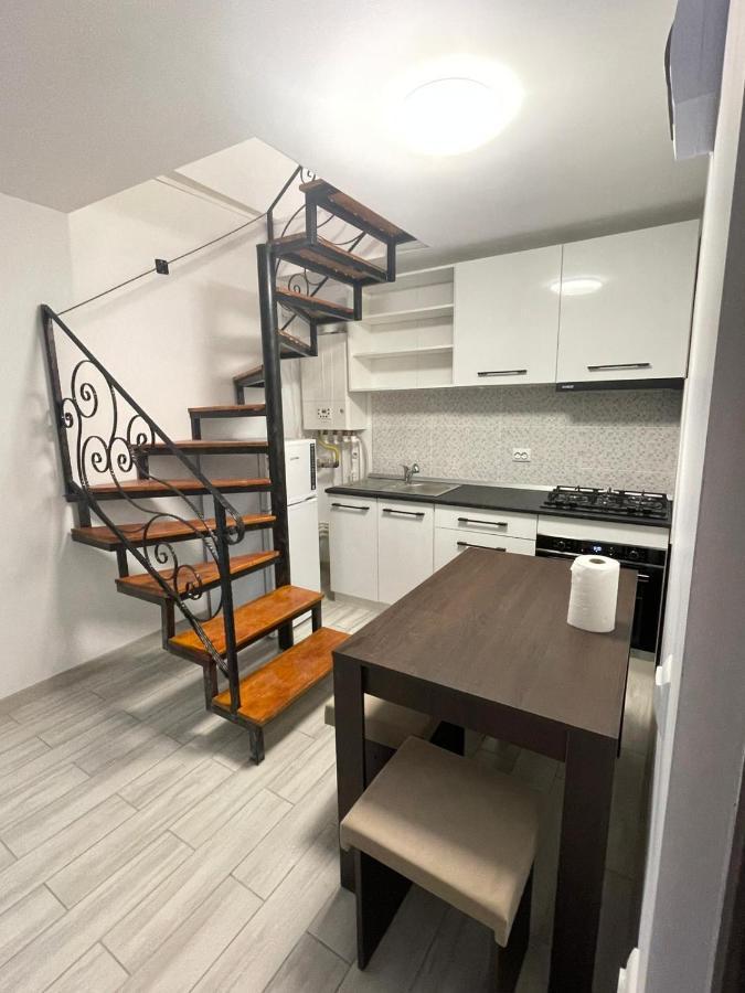 Casa Dan Apartment Buzau Exterior photo