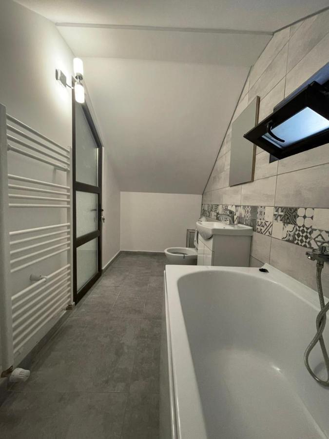 Casa Dan Apartment Buzau Exterior photo
